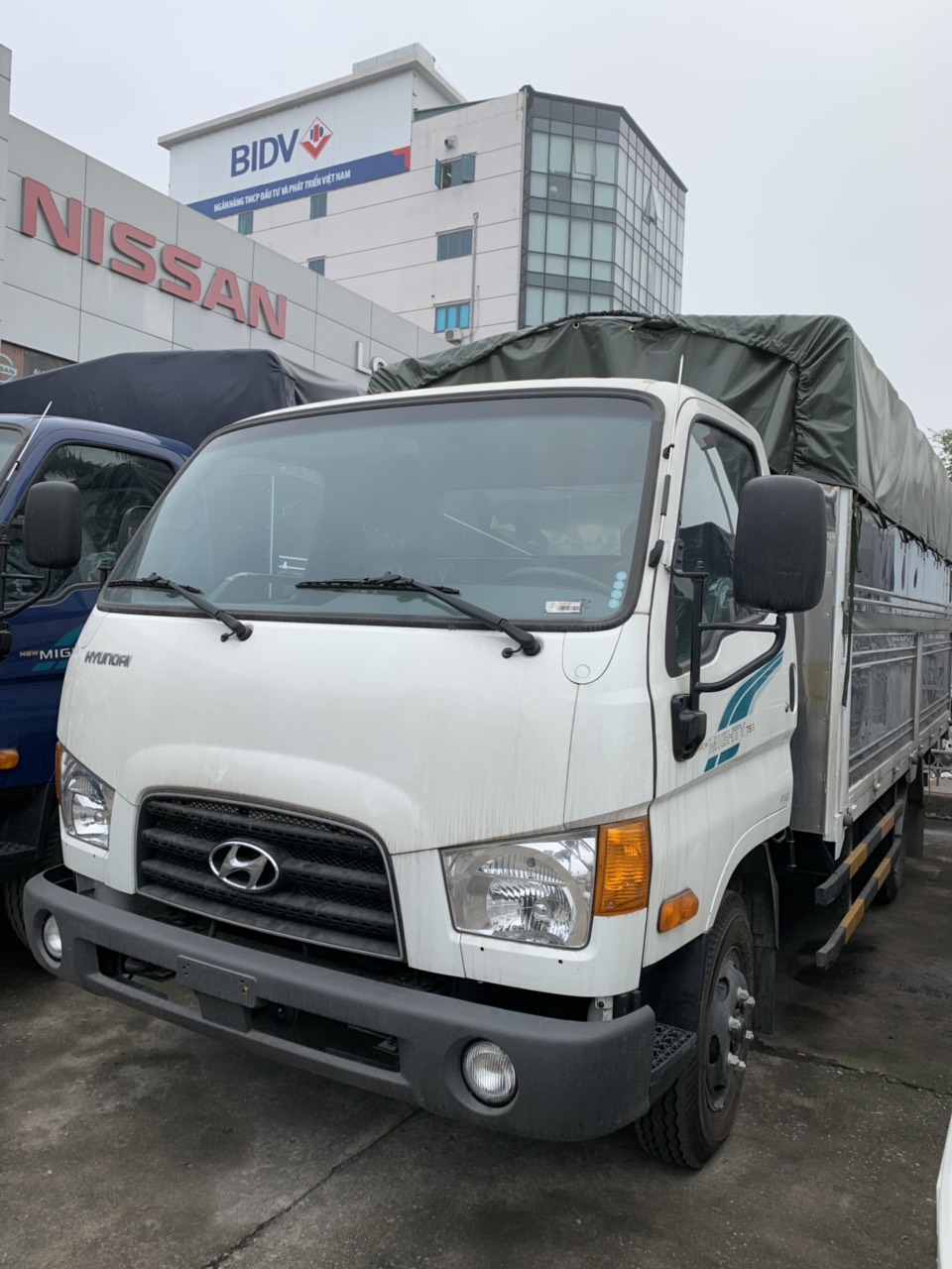 055e753c5944a31afa55